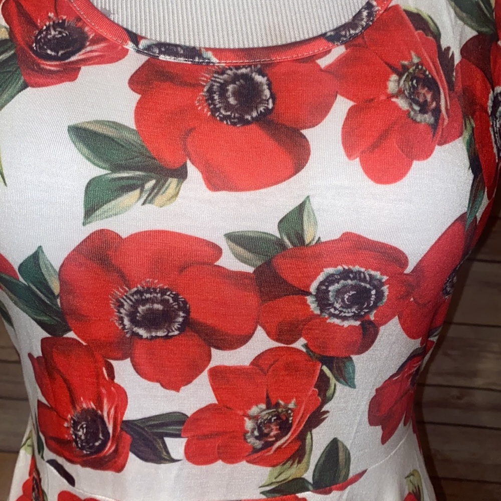 NWT ACEVOG Poppy Dress Size Small - Picture 4 of 10